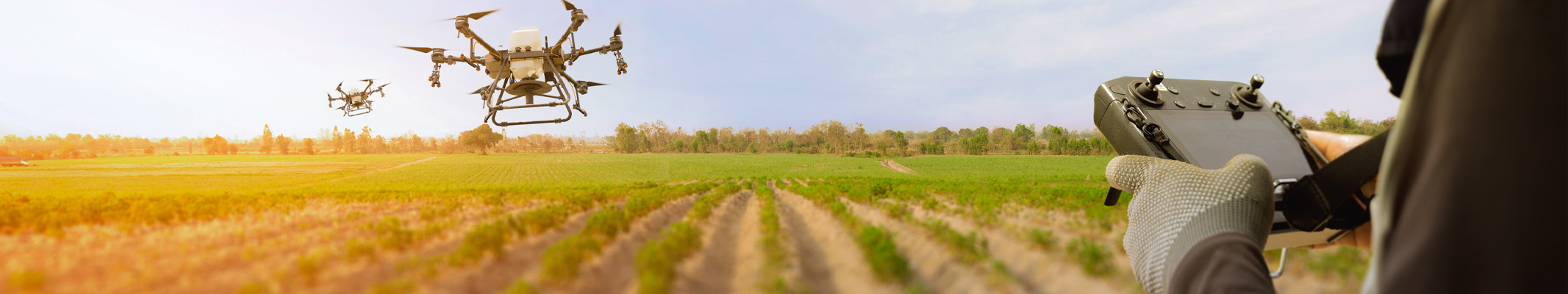 person using drone over farm land